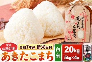 《令和7年産 新米受付》【白米】家計お助け米 あきたこまち 20kg（5kg×4袋）秋田県 男鹿市 こまちライン|10348