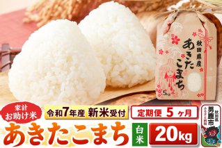 《令和7年産 新米受付》《定期便5ヶ月》【白米】家計お助け米 あきたこまち 20kg（5kg×4袋）|10731