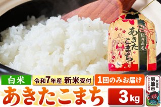 《令和7年産 新米受付》【白米】秋田県産 あきたこまち 3kg 秋田県 男鹿市 こまちライン|10418