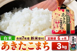 《令和7年産 新米受付》《定期便6ヶ月》【白米】秋田県産 あきたこまち 3kg 秋田県 男鹿市 こまちライン|10423