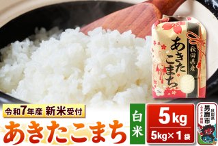 《令和7年産 新米受付》【白米】秋田県産 あきたこまち 5kg 秋田県 男鹿市 こまちライン|10354