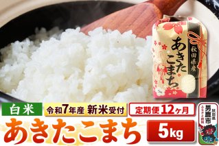 《令和7年産 新米受付》《定期便12ヶ月》【白米】秋田県産 あきたこまち 5kg|10804