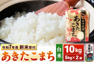 《令和7年産 新米受付》【白米】秋田県産 あきたこまち 10kg（5kg×2袋）秋田県 男鹿市 こまちライン|10355