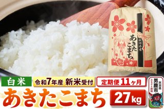 《令和7年産 新米受付》《定期便11ヶ月》【白米】秋田県産 あきたこまち 27kg|10836
