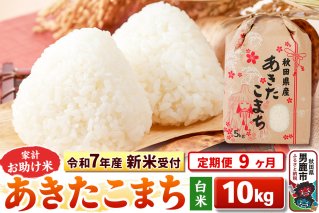 《令和7年産 新米受付》《定期便9ヶ月》【白米】家計お助け米 あきたこまち 10kg（5kg×2袋）|10724