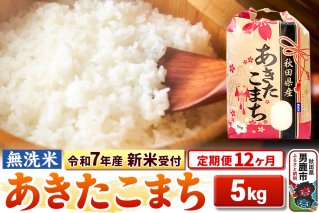 《令和7年産 新米受付》《定期便12ヶ月》【無洗米】秋田県産 あきたこまち 5kg|10760