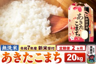 《令和7年産 新米受付》《定期便2ヶ月》【無洗米】秋田県産 あきたこまち 20kg（5kg×4袋）|10772