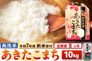 《令和7年産 新米受付》《定期便8ヶ月》【無洗米】秋田県産 あきたこまち 10kg（5kg×2袋）|10767