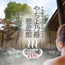 八千代グリーンビレッジ 「 やちよ乃湯 憩遊館 」 温泉 入浴 回数券（ 10枚 ） 入浴券 おんせん 入浴チケット 旅行 ふるさと納税 17000円  [AN014ya]