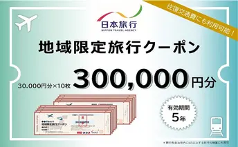 北海道倶知安町　日本旅行　地域限定旅行クーポン300,000円分 ツアー 宿泊 旅行 交通 5年 トラベル 宿泊券 チケット スキー スノボ 旅行券 観光 北海道 旅行 ニセコ 倶知安町 