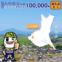【 返礼品なし 】茨城県 八千代町 ふるさと応援寄附金 （ 100,000円 ) [ZZ006ya]