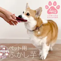 動物 ペットおやつ ペット用 ふかし芋 小芋 紅はるか 芋 いも おやつ 動物 ペットフード 犬 猫 間食 ヘルシー オヤツ 4kg [AU120ya]