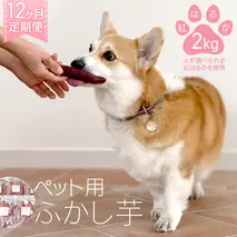 【12ヶ月定期便】動物 ペットおやつ ペット用 ふかし芋 小芋 紅はるか 芋 いも おやつ 動物 ペットフード 犬 猫 間食 ヘルシー オヤツ 2kg [AU123ya]