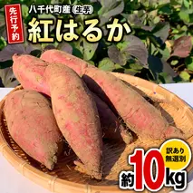 訳あり さつまいも 紅はるか 約 10kg 土付き 無選別 茨城 八千代町産 生芋 サツマイモ さつま芋 焼き芋 やきいも 芋 イモ 野菜 不揃い 規格外 長期熟成 おやつ デザート 秋 旬 農家直送 【 先行予約 2025年10月下旬以降発送 】 [AX010ya]
