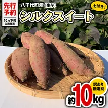 訳あり 無選別 さつまいも 八千代町産 シルクスイート 生芋 約 10kg 農家直送 熟成 イモ 芋 いも おやつ デザート 秋  【 先行予約 2025年10月下旬以降発送 】[AX035ya]