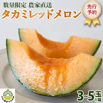 【 令和8年産 】【 先行予約 】 タカミレッドメロン 秀品 1箱 3玉～5玉入り 飯岡 メロン 貴味 タカミ 赤肉 果物 フルーツ 甘い [CG001ya]