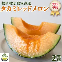 【 令和8年産 】【 先行予約 】タカミレッドメロン 秀品 1箱 2玉入り 飯岡 メロン 貴味 タカミ 赤肉 果物 フルーツ 甘い [CG002ya]