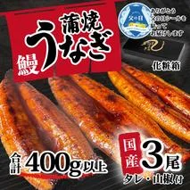 【父の日】【化粧箱】【 訳アリ 】 国産うなぎ 蒲焼き 3尾 セット ( 400g ) 大きさ の不揃い タレ・山椒付き ウナギ 鰻 ふぞろい 不揃い うな重 ひつまぶし 人気 茨城 八千代町 ふるさと納税 冷凍 ギフト 化粧箱 父の日