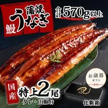 【お歳暮】【化粧箱】特上 国産うなぎ 蒲焼 2尾セット 【合計570g以上】 タレ・山椒付 ウナギ 鰻 うな重 ひつまぶし 人気 茨城 八千代町 ふるさと納税 冷凍 ギフト 化粧箱 お歳暮 歳暮 熨斗