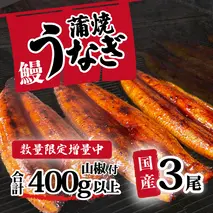 【数量限定増量中！】【 訳アリ 】国産うなぎ 蒲焼き 3尾 セット ( 400g ) 大きさ の不揃い 山椒付き ウナギ 鰻 ふぞろい 不揃い うな重 ひつまぶし 人気 茨城 八千代町 ふるさと納税 冷凍 [SF406ya]