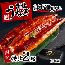 【化粧箱】特上 国産うなぎ 蒲焼 2尾セット 【合計570g以上】 タレ・山椒付 ウナギ 鰻 うな重 ひつまぶし 人気 茨城 八千代町 ふるさと納税 冷凍 ギフト 化粧箱