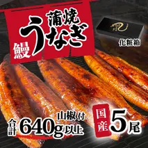 【化粧箱】【 訳アリ 】 国産うなぎ 蒲焼き 5尾 セット ( 640g 以上) 大きさ の不揃い 山椒付き ウナギ 鰻 ふぞろい 不揃い うな重 ひつまぶし 人気 茨城 八千代町 ふるさと納税 冷凍 ギフト 化粧箱