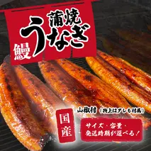 【2週間以内発送】【 訳アリ 】 国産うなぎ 蒲焼き 3尾 セット ( 400g ) 大きさ の不揃い 山椒付き【数量限定増量中】