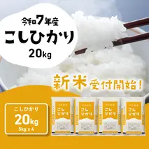 【10月発送】コシヒカリ 20kg (5kgx4袋) 令和7年産 茨城県産 こしひかり 白米 精米 茨城県 八千代町 お米 米 [SF302yai]