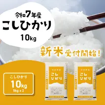 【10月発送】コシヒカリ 10kg (5kgx2袋) 令和7年産 茨城県産 こしひかり 白米 精米 茨城県 八千代町 お米 米 [SF301yai]