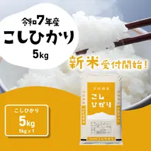 【10月発送】コシヒカリ 5kg (5kgx1袋) 令和7年産 茨城県産 こしひかり 白米 精米 茨城県 八千代町 お米 米 [SF300yai]
