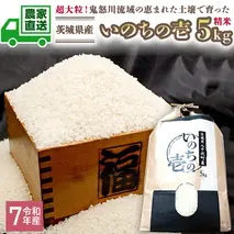 令和7年産 茨城県産 いのちの壱 5kg 玄米 米 こめ コメ 茨城県 国産 いばらき 単一米 単一原料米 大粒 農家直送 [BG014ya]