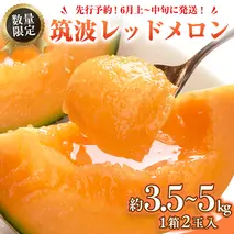 筑波レッドメロン 1箱 2玉 入り（約 3.5kg ～ 5kg ）【2026年6月上旬以降発送】  メロン レッド 赤肉 甘い 期間限定 産地直送 果物 フルーツ [BU001ya]