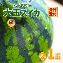 【 先行予約 2026年6月中旬以降発送開始】 令和8年産 八千代町産 大玉 スイカ 優以上 L1玉 （約 6kg ） 味の香 期間限定 産地直送 果物 フルーツ 西瓜 スイカ すいか 西瓜 甘い 夏 [AX017ya]