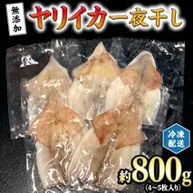 【無添加】 ヤリイカ 一夜干し 約800g (4～5枚入り) 冷凍 干物 [AU028ya]