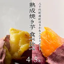 【 先行予約 2025年1月以降発送 】 oimo_tokyo 熟成 焼き芋 八千代町産 人気 2種 食べ比べ セット ( 紅はるか ＆ シルクスイート ）4本～5本 冷蔵 冷やし やきいも 食物繊維 さつまいも 美容 健康 スイーツ おやつ 小分け 茨城県産 [BY003ya]