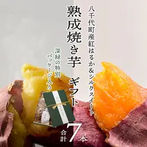 【 先行予約 2025年1月以降発送 】 oimo_tokyo 深緑 の 特別パッケージ入り 熟成 焼き芋 八千代町産 ( 紅はるか＆ シルクスイート ) 7本 セット ギフト 冷蔵 冷やし やきいも 食物繊維 さつまいも 美容 健康 スイーツ おやつ 小分け 茨城県産 [BY006ya]