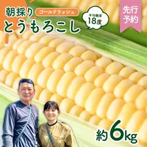 【先行予約 2026年6月中旬以降発送 】 【 令和8年産 】 朝採り とうもろこし （ ゴールドラッシュ ） 約 6kg トウモロコシ スイートコーン コーン 野菜 産地直送 期間限定 極甘 岩田さん 昼めし旅 [AX019ya]