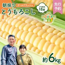 【先行予約 2026年6月中旬以降発送 】 【 令和8年産 】 朝採り とうもろこし （ ゴールドラッシュ ） 約 6kg トウモロコシ スイートコーン コーン 野菜 産地直送 期間限定 極甘 岩田さん 昼めし旅 [AX019ya]