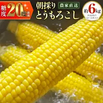 朝採り 農家直送 とうもろこし 6kg 「 おおもの 」【 先行予約 2026年7月中旬以降発送】トウモロコシ スイートコーン コーン 野菜 大粒 大きい 新鮮 甘い 高糖度 サラダ 八千代町産 茨城県産 産地直送 [AX027ya]