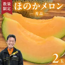 【先行予約 2026年5月下旬発送】 ほのかメロン 秀品　赤肉 2玉 メロン 果物 フルーツ 甘い 茨城県 茨城県産 期間限定 数量限定 産地直送 農家直送 [AV005ya]