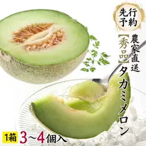 【先行予約 2026年6月中旬発送】  タカミメロン 秀品 1箱 3～4玉入り 期間限定 産地直送 果物 フルーツ メロン 青肉 甘い [AV008ya]