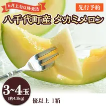 ＜先行予約＞【6月上旬以降発送】令和5年産 八千代町産 タカミメロン 優以上 1箱 （3～4玉入り） 約4.5kg 期間限定 産地直送 果物 フルーツ メロン 甘い [AX023ya]
