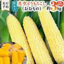 【 先行予約 ・7月中旬以降発送】【 訳あり 】 加熱殺菌済み 真空 とうもろこし ( おおもの ) 約3kg トウモロコシ 食べくらべ 無添加 保存料不使用 真空パック 甘い 新鮮 [AU077ya]
