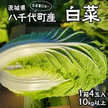 【2025年11月上旬より発送開始】 茨城県 八千代町産 白菜 はくさい 1箱 （ 4玉 ） 10kg 以上 生産量 日本一 農家直送 期間限定 ハクサイ 鍋 冬野菜 野菜 やさい 旬 ふるさと納税 6000円 八千代町 茨城 [AV009ya]