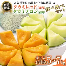 タカミレッド（赤肉）・タカミメロン（青肉）食べ比べ 2色 セット 合計4玉入り（約5kg～7kg）【2026年6月上旬以降発送】  期間限定 産地直送 農家直送 果物 フルーツ メロン タカミ たかみ 貴味 レッド 甘い 4玉 [BU003ya]