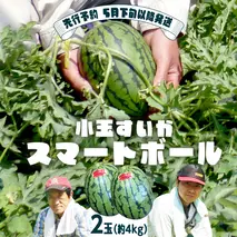 【 2026年先行予約 5月下旬 以降発送 】 小玉 すいか スマートボール 2玉 約 4kg スイカ 西瓜 フルーツ 果物 旬 ふるさと納税 10000円 八千代町 茨城 [CR002ya]