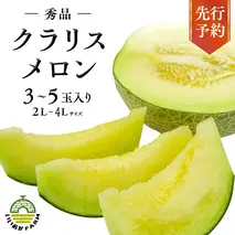 【 令和8年産 】【 先行予約 】クラリスメロン 秀品 1箱 3玉～5玉入り 飯岡 メロン クラリス 青肉 果物 フルーツ 甘い [CG003ya]