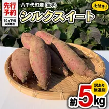 訳あり 無選別 八千代町産 シルクスイート 生芋 土付き 約 5kg さつまいも サツマイモ 芋 いも イモ ワケアリ 訳アリ 八千代町 ふるさと納税 5000円 【 先行予約 2025年10月下旬以降発送 】 [AX047ya]