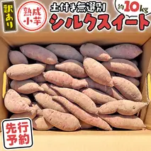 【 先行予約 2025年11月下旬以降発送 】【 訳あり 】 八千代町産 熟成 小芋 シルクスイート 生芋 土付き 10kg さつまいも サツマイモ 芋 イモ ふるさと納税 6000円 訳アリ [AX050ya]