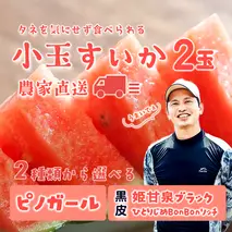【 先行予約 2026年7月中旬以降発送 】八千代町産 黒皮 小玉スイカ 姫甘泉ブラック ひとりじめBonBonリッチ 1箱（2玉入） 黒皮 すいか 西瓜 [SF004ya]